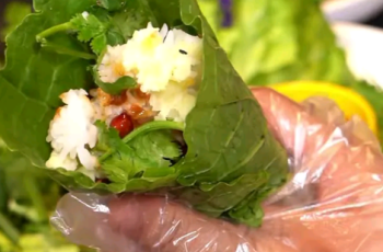 Cabbage - Wrapped Rice